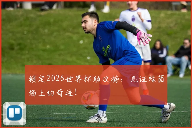 锁定2026世界杯助攻榜，见证绿茵场上的奇迹！