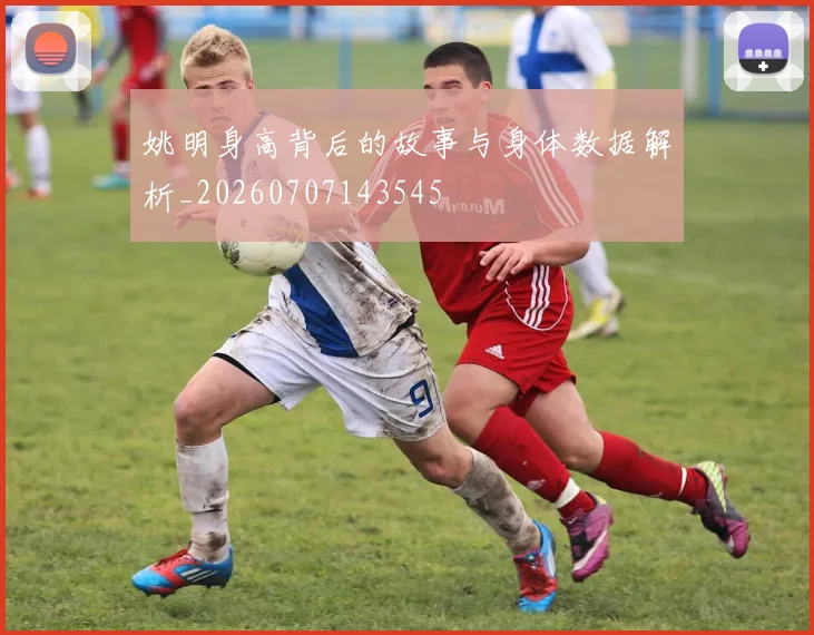 姚明身高背后的故事与身体数据解析_20260707143545