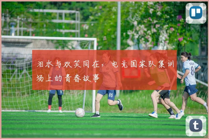 泪水与欢笑同在，电竞国家队集训场上的青春故事